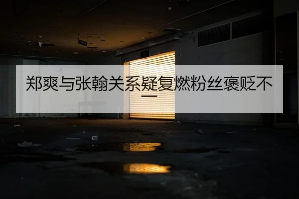 郑爽与张翰关系疑复燃粉丝褒贬不一